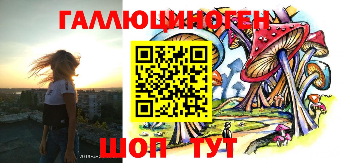 Губкин  наркота  Вход с VPN  Псилоцибиновые грибы MAGIC MUSHROOMS 
