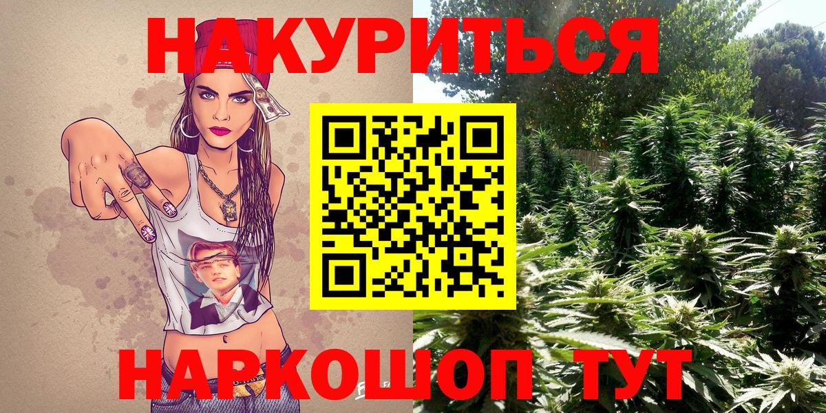 Конопля Ganja  Бошки Шишки SATIVA & INDICA  Каннабис план  Вход с VPN  Губкин 